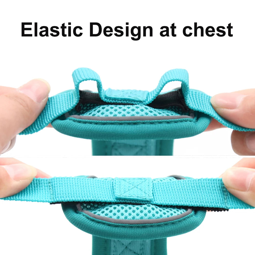 Cat Harness and Leash Set Escape Proof Reflective Outdoor Walking
