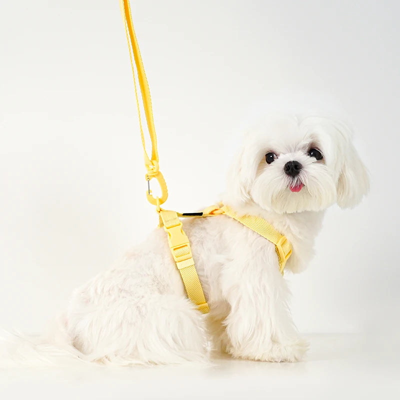 Adjustable Dog Harness Collar Leash Set Macarone Color, Reflective
