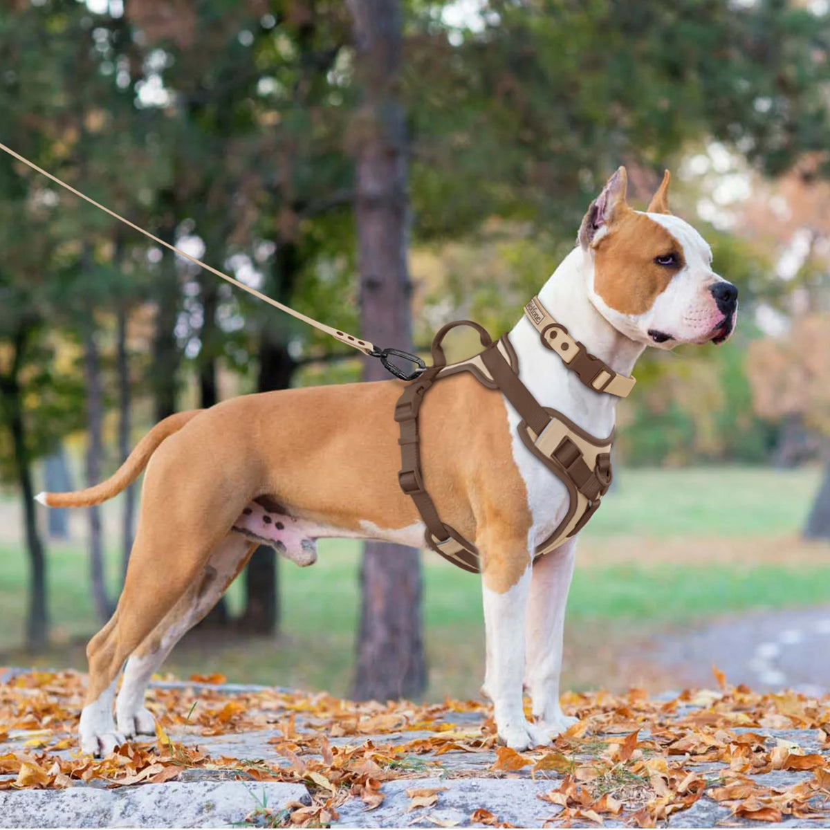 New Chocolate Color Luxury Dog Harness No Pull for Large Small Dogs
