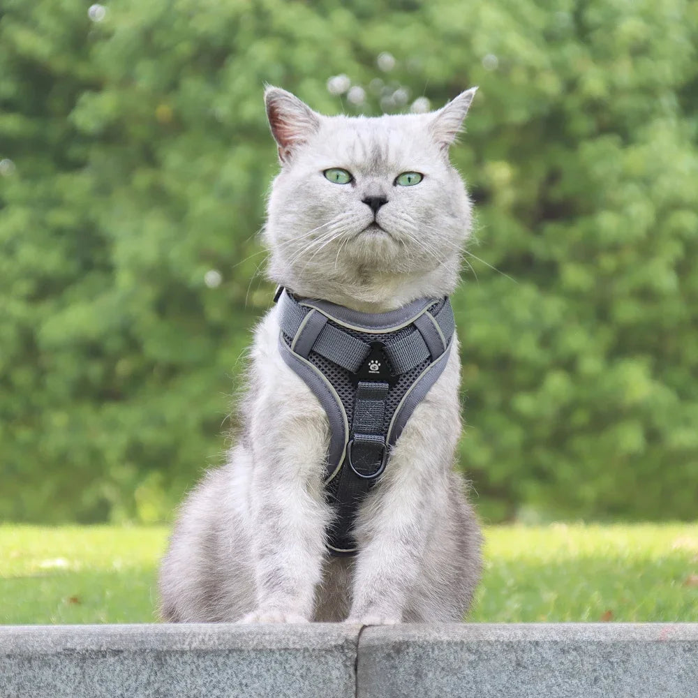 Cat Harness and Leash Set Escape Proof Reflective Outdoor Walking