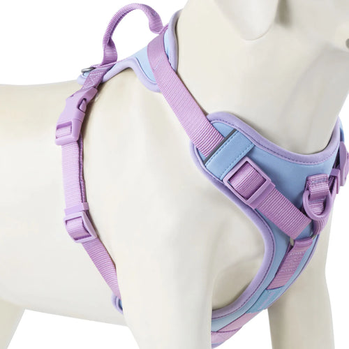 New Chocolate Color Luxury Dog Harness No Pull for Large Small Dogs