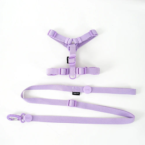 Adjustable Dog Harness Collar Leash Set Macarone Color, Reflective