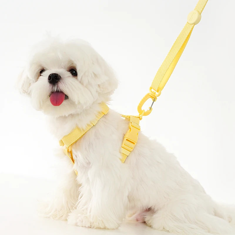 Adjustable Dog Harness Collar Leash Set Macarone Color, Reflective