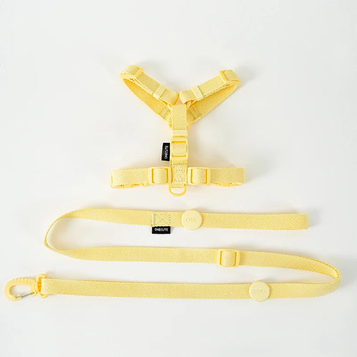 Adjustable Dog Harness Collar Leash Set Macarone Color, Reflective