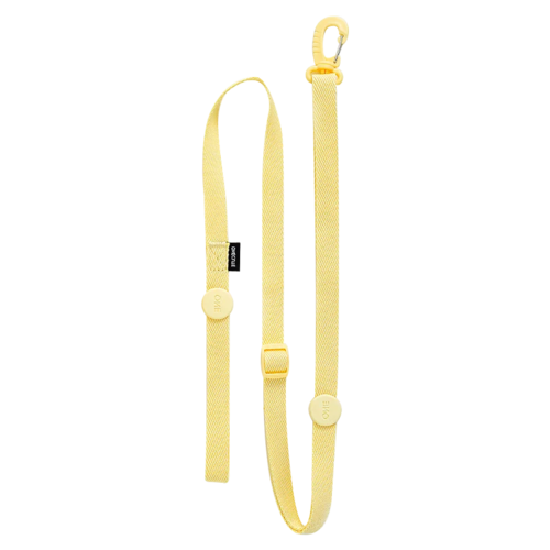 Adjustable Dog Harness Collar Leash Set Macarone Color, Reflective